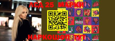 дмт Славгород