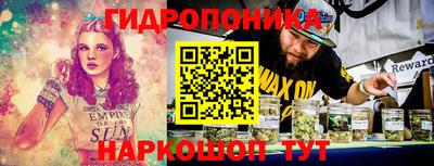 дмт Славгород