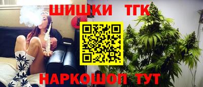 дмт Славгород