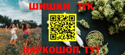 дмт Славгород